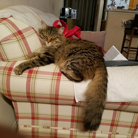 lhillipsj